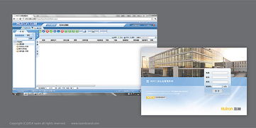 朗圣品牌与互融软件 一体化VI设计与软件制作的艺术融合
